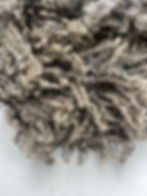 Ashe #671 - 8 lbs of Wensleydale Raw Fleece Silver Gray Wool Fiber