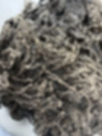 Ashe #671 - 8 lbs of Wensleydale Raw Fleece Silver Gray Wool Fiber