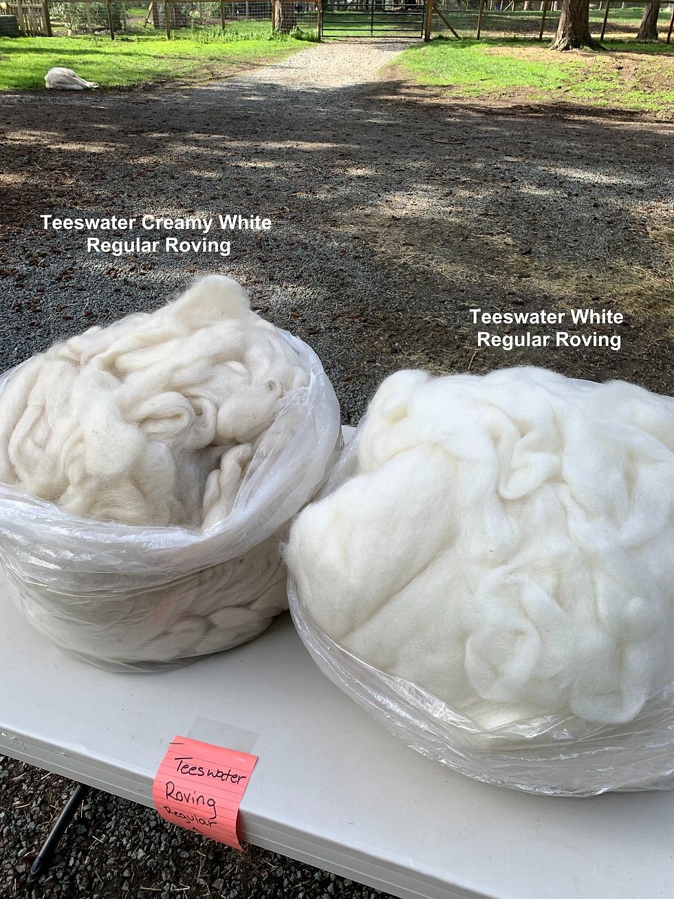 Thumbnail: Teeswater Creamy White Wool Regular Roving