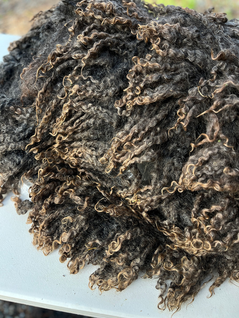 Thumbnail: Mango #587 – 6.5lb Black Wensleydale Raw Fleece Wool for Spinning & Fiber Crafts