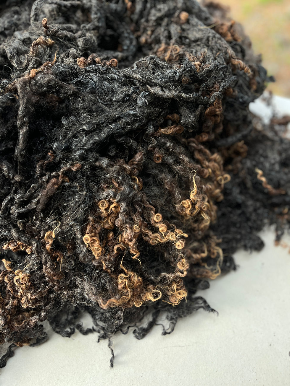 Thumbnail: Midnight #964 – 9.5lb Black Wensleydale Raw Fleece Wool for Fiber Crafts