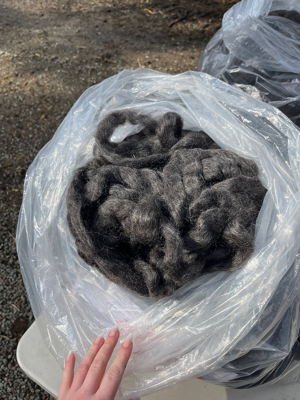 Thumbnail: Wensleydale Dark Charcoal Pin Drafted Sliver Roving