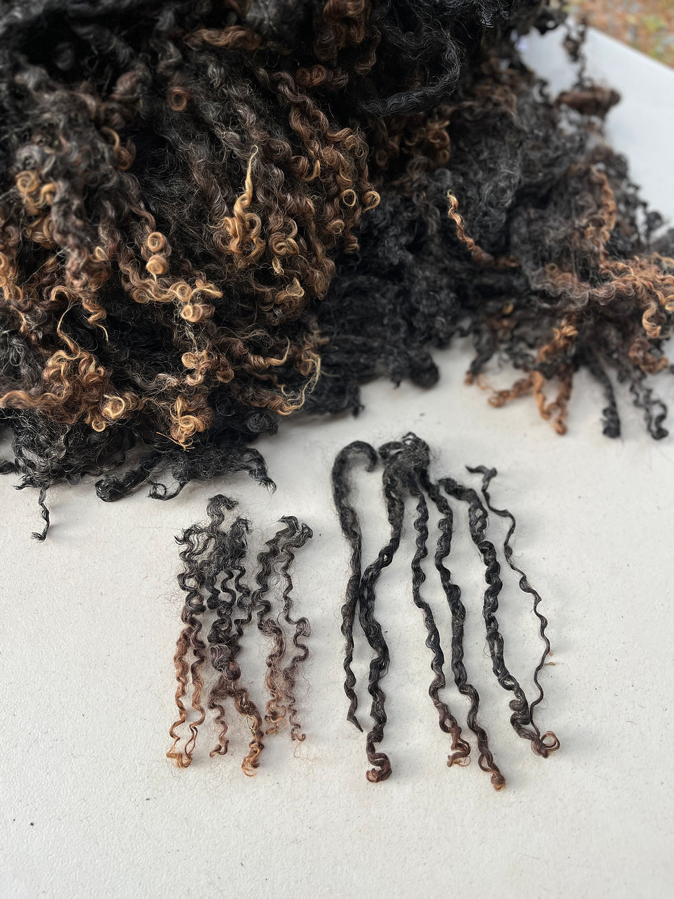 Midnight #964 – 9.5lb Black Wensleydale Raw Fleece Wool for Fiber Crafts