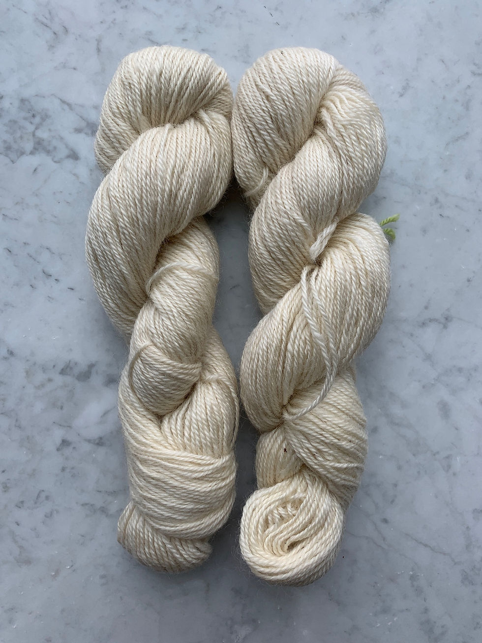 Two Skeins of "Lamb Fleece" - Valais Blacknose/Teeswater Wool Sport 3ply Yarn Creamy White