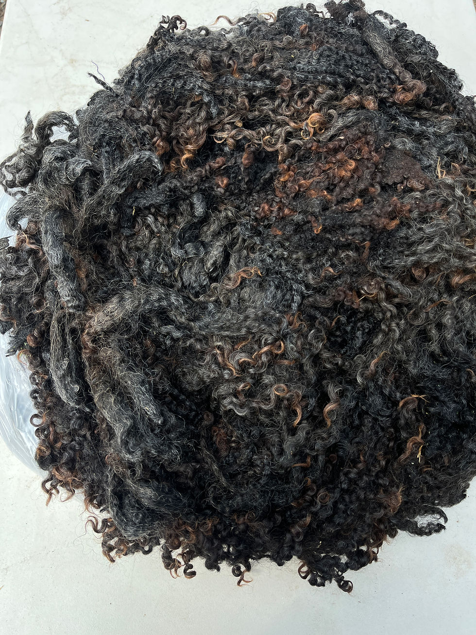 Sophie #816 - Wensleydale Raw Fleece Natural Black Wool Fiber 1/31/25