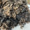 Thumbnail: Clemetis #804 – 8lb Charcoal Wensleydale Raw Fleece Wool for Fiber Crafts
