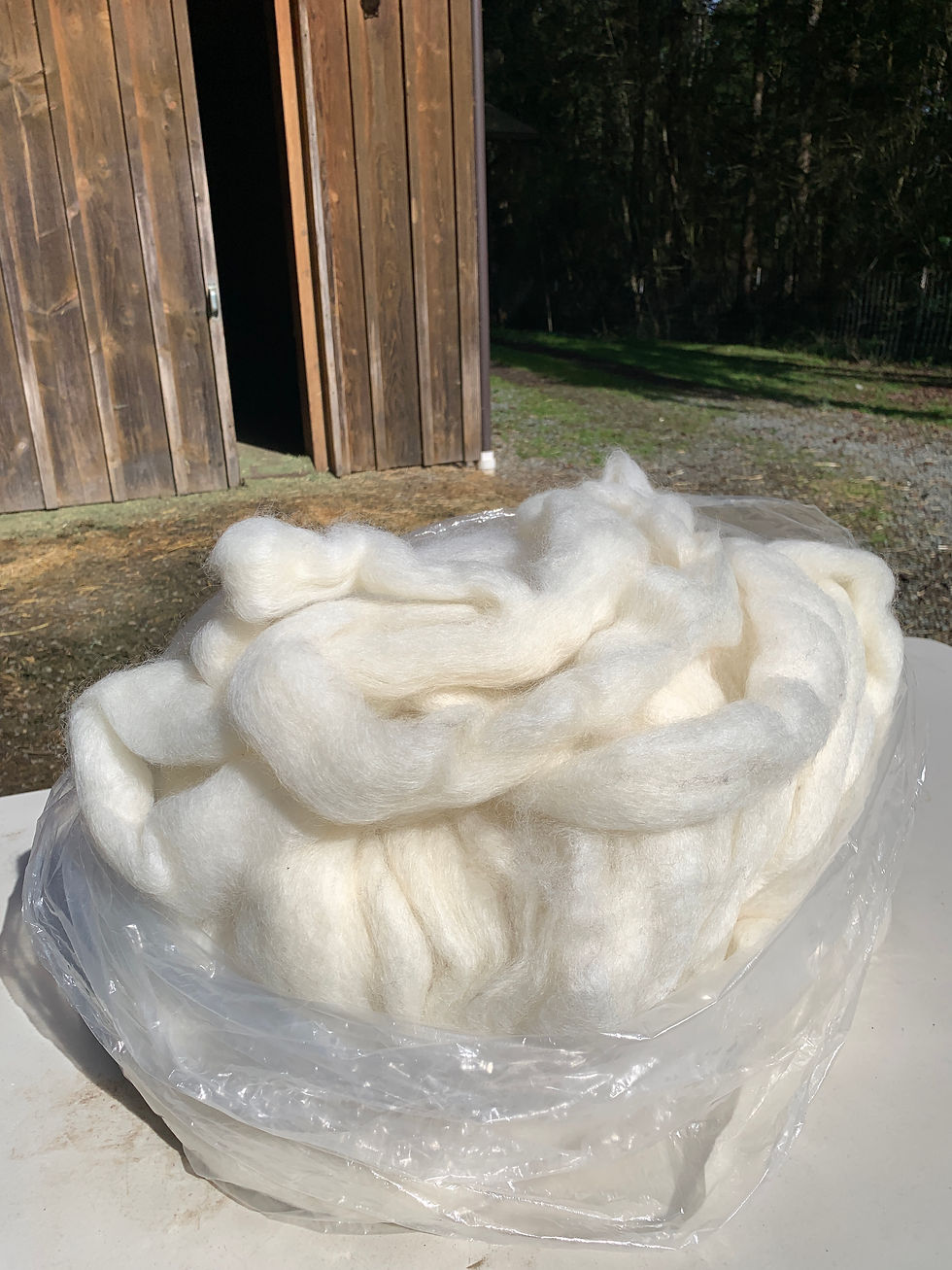 Thumbnail: Wensleydale White Regular Wool Roving
