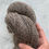 Thumbnail: Close Up of "Mr. No Tag" - Crossbred Wool Sport/DK 2ply Yarn Natural Medium Gray