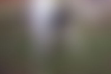 Life Lessons from the Dog