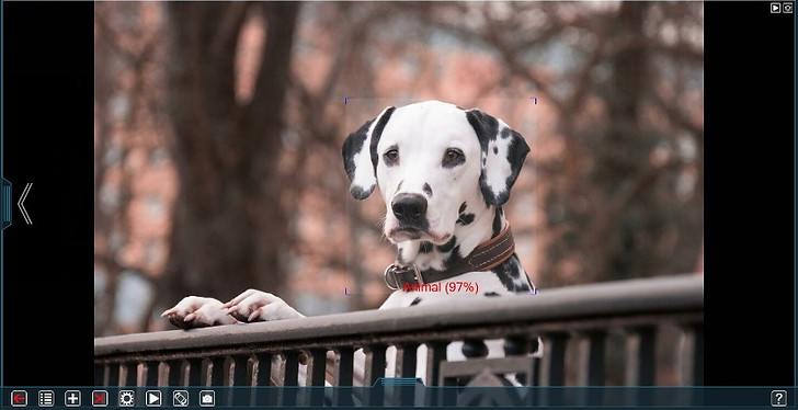 dog_recognition_en.jpg