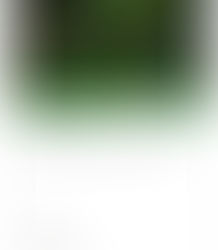 Cursos online para hacer durante la cuarentena