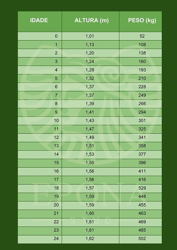 Planilha sem título - Página4.pdf.jpg