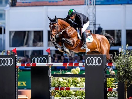 Insight: navegando pelos dados do hippomundo em busca das próximas novidades