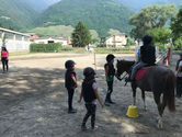IMG_2125.jpeg