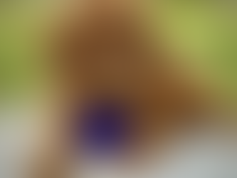 Mini Goldendoodles