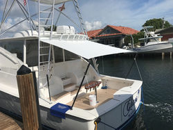 Custom sportfish canopy system