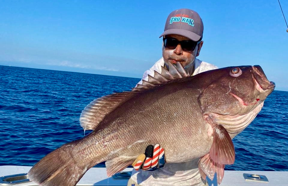 grouper 11.jpg