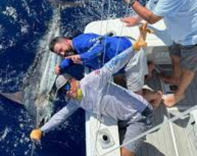Marlin Fishing