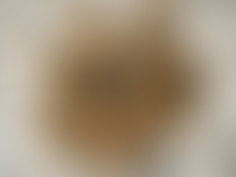 Goldendoodle Puppies
