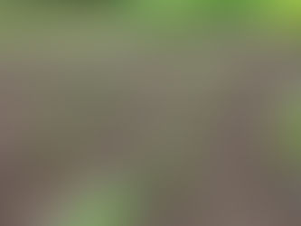 Look whats coming up.....