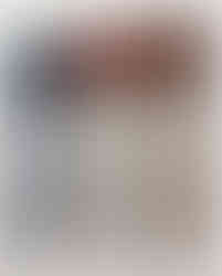 Bison Gloves Rodhe Sport en Afeleti Store