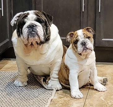 Front Page Emmitt and Diggs.jpg