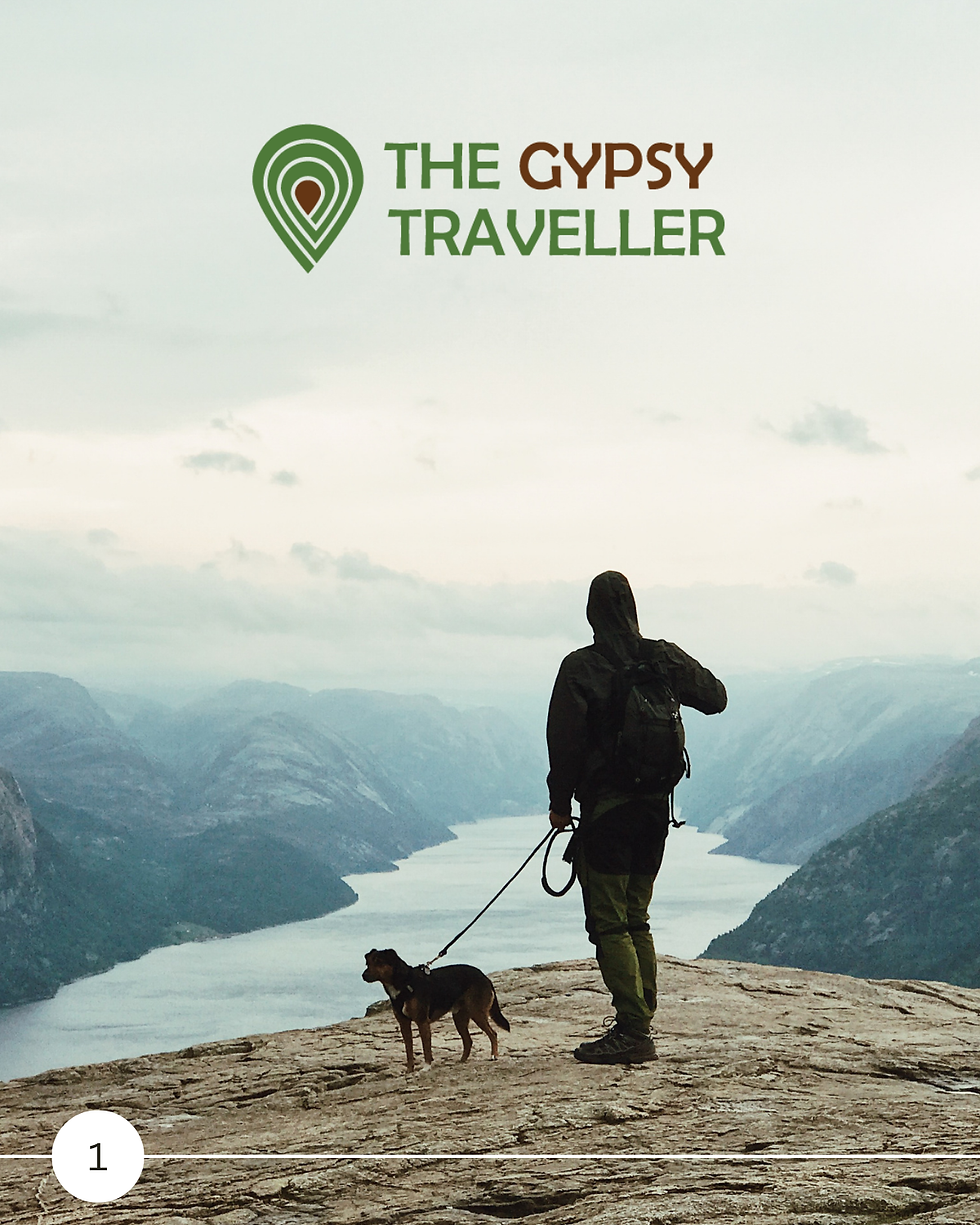 The Gypsy Traveller- Linkedin carousel