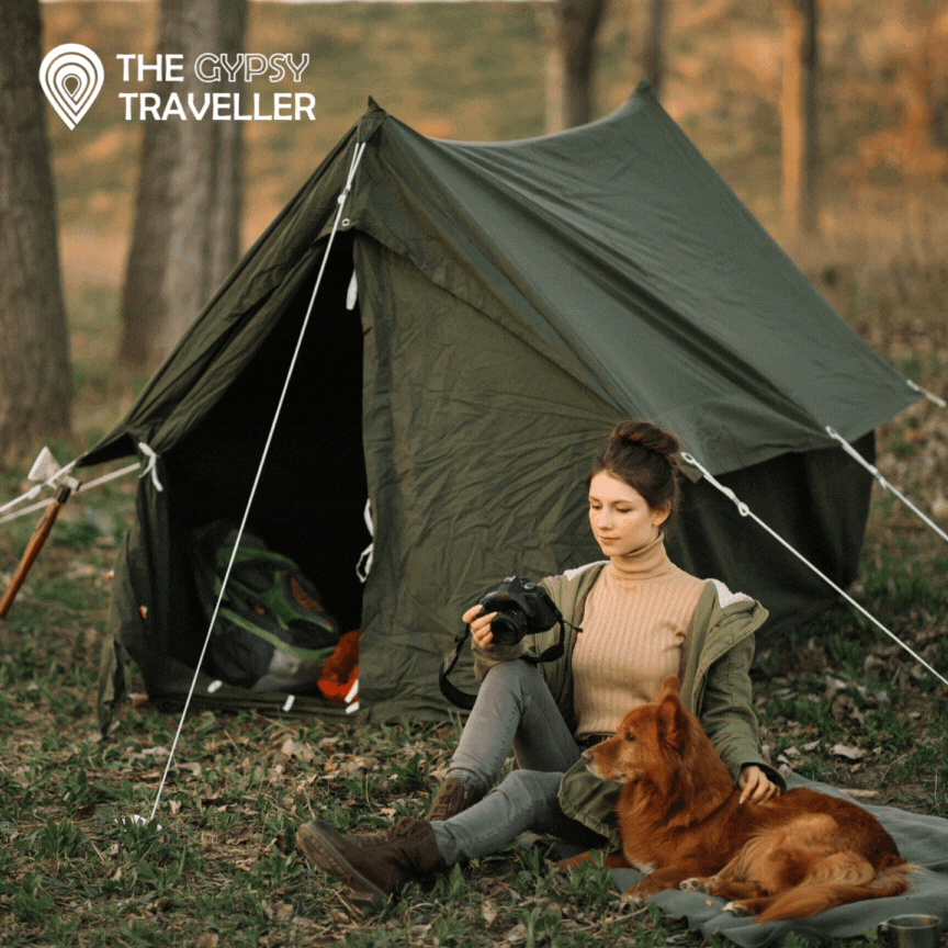 Gypsy Traveller GIF