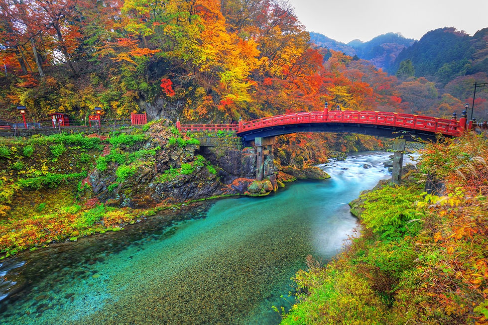 Nikko Autumn Foliage Hike &amp; Hot Springs