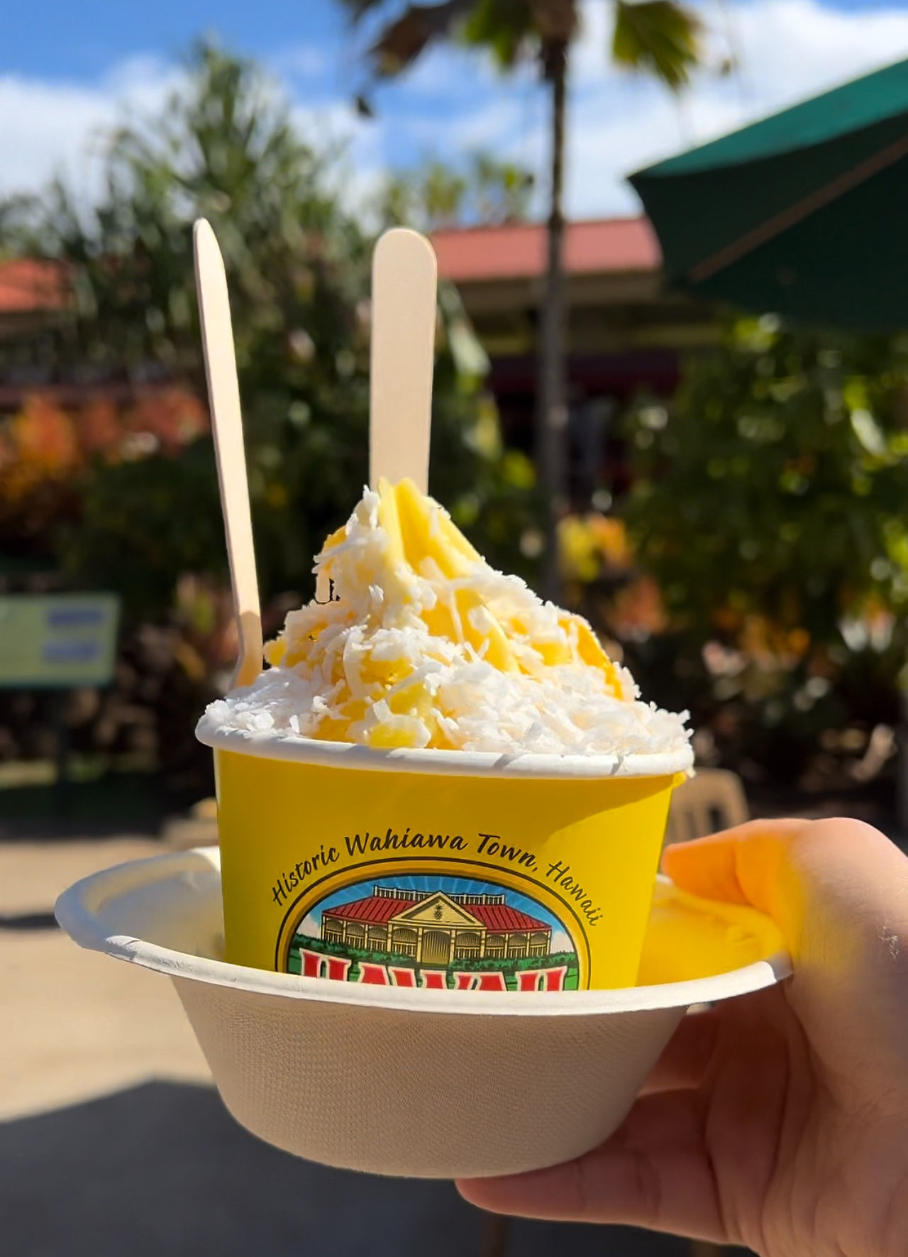 Dole Pineapple Whip