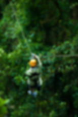 Zip lining and canopying through the rainforests of La Fortuna.