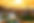 Park Guell.jpeg