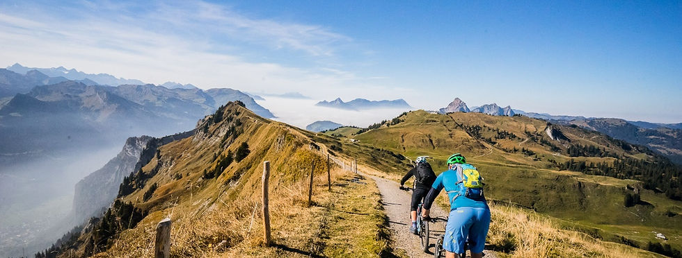 hoehenweg-hoch-ybrig.jpg