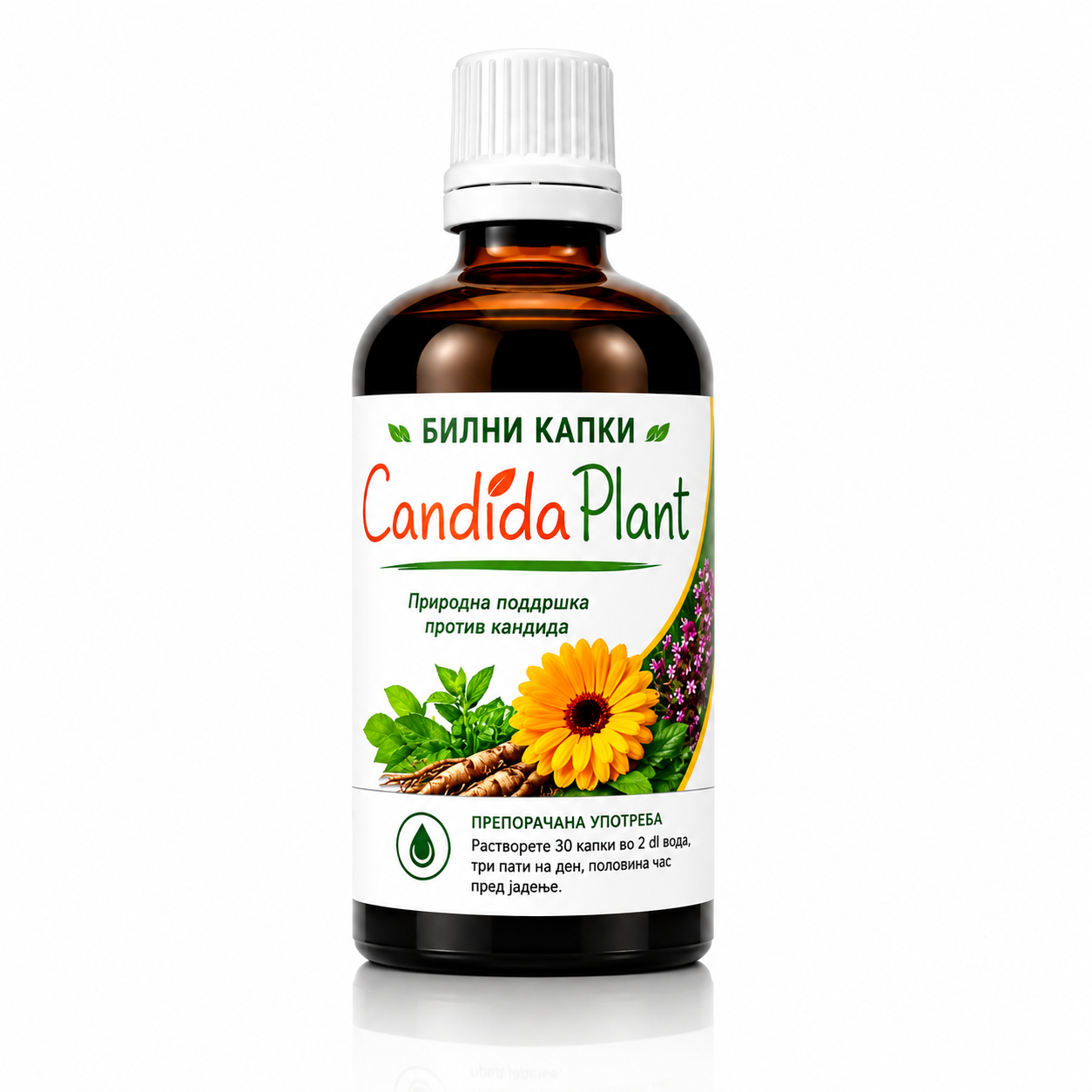 CANDIDA PLANT - БИЛНИ КАПКИ - BILNI KAPKI www.BioFarm.mk