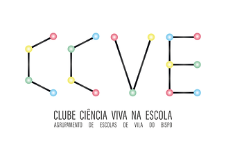 Logo - CCVE - fundo branco.png