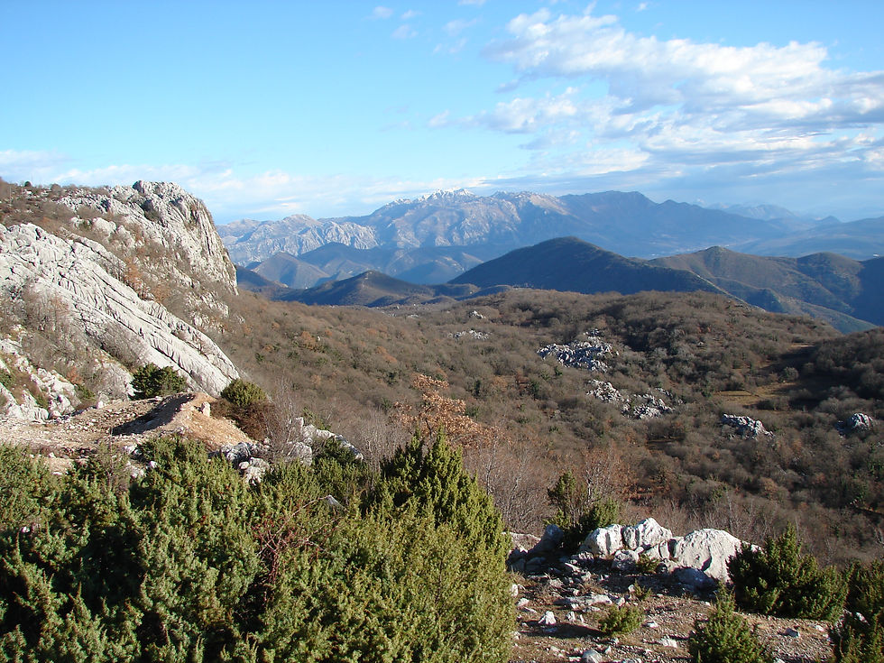 Orijen views