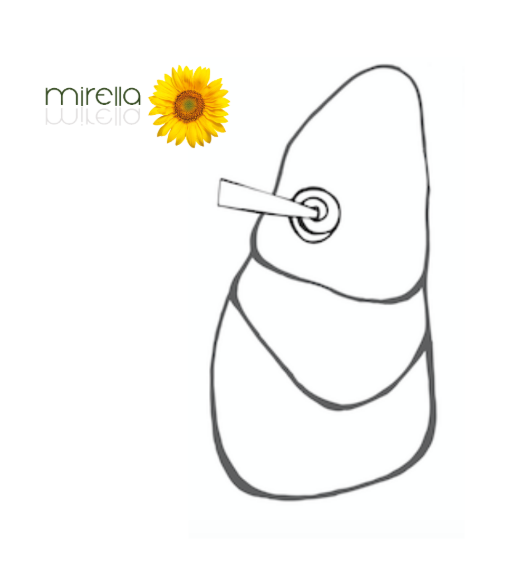 Diagnosis and Treatment for Lung and Related Imbalances. Part Twenty Eight. Part One