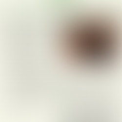 CECRN Mid-Winter Newsletter 2026