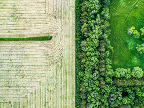 Regenerative Agriculture: The Future of Farming and Climate Resilience