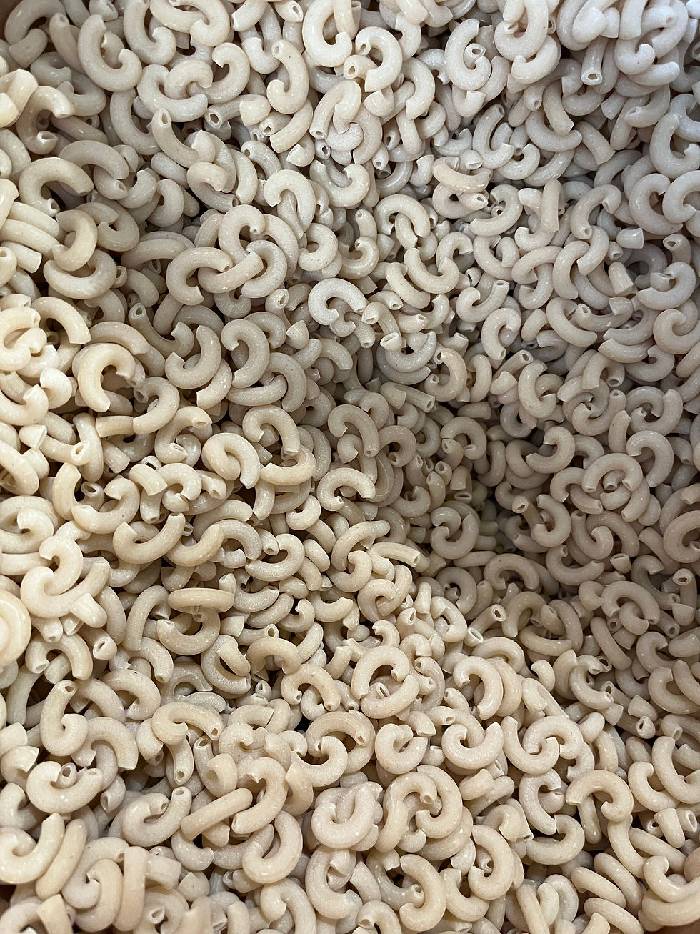 Cornettes au blé dur - BIO CH - 500g