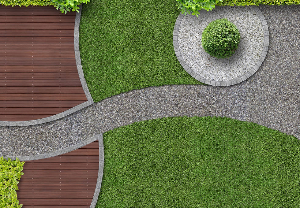 Designed Backyard_edited.jpg