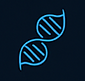 A minimalist blue outline of a DNA double helix
