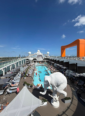 Celebrity Cruise.jpg