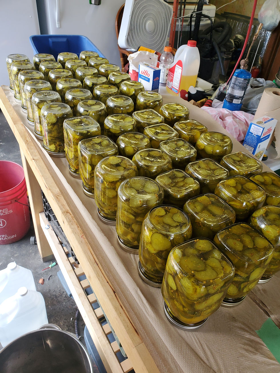 Leo's Bread and Butter pickles