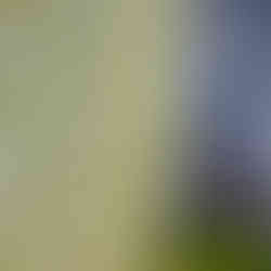 Beautiful modern Christmas quilt