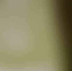 up close details of a modern green and white Christmas quilt