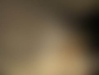 Harley-Davidson e o Tsunami