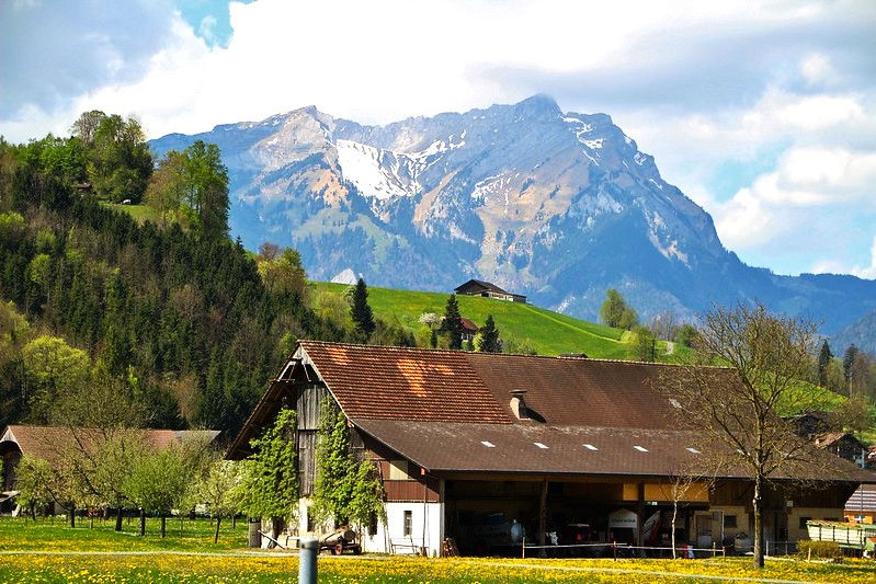 Germanic Experiences Tours in Switzerland