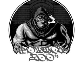 Las Vegas metal band Hollow Zoo talk to us about their debut album and the lessons they've learned in our latest Spotlight