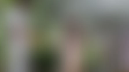 Maya Wellness Weekend en Yucatán mensaje de paz y un despertar de la conciencia